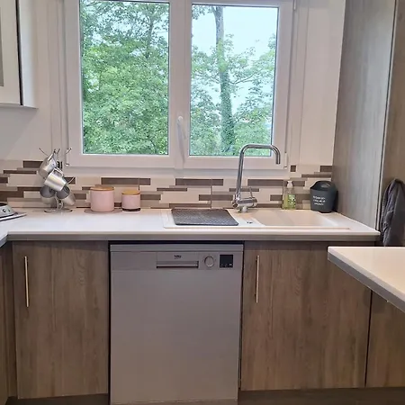 ヴィラ Maison Agreable Avec Terrasse ジョアンヴィル